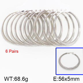 Stainless Steel Earrings  5E2000847vina-212