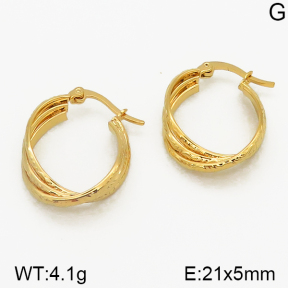 Stainless Steel Earrings  5E2000877vbmb-212