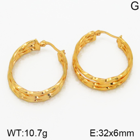 Stainless Steel Earrings  5E2000881ablb-212