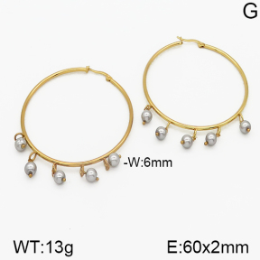 Stainless Steel Earrings  5E3000216bbov-212