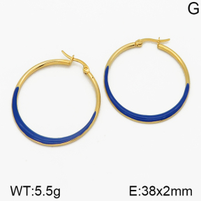 Stainless Steel Earrings  5E3000221ablb-212