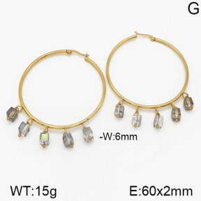 Stainless Steel Earrings  5E4000679bbov-212