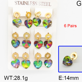 Stainless Steel Earrings  5E4000687ajpa-212