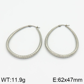Stainless Steel Earrings  2E2000208ablb-478