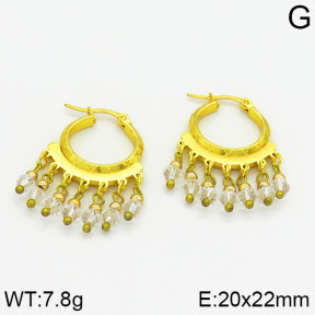 Stainless Steel Earrings  2E4000537baka-478