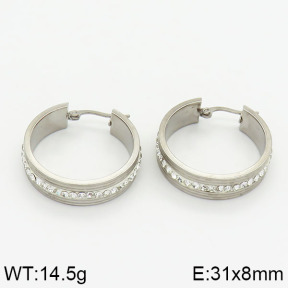 Stainless Steel Earrings  2E4000541baka-478
