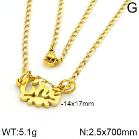 Stainless Steel Necklace  2N2000318vbnb-669