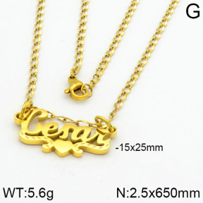 Stainless Steel Necklace  2N2000323vbnb-669