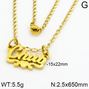 Stainless Steel Necklace  2N2000328vbnb-669