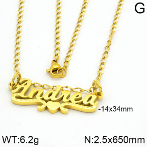 Stainless Steel Necklace  2N2000341vbnb-669