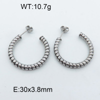Stainless Steel Earrings  3E2002548bbov-066