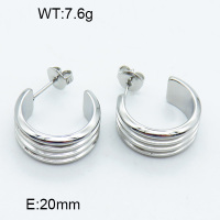 Stainless Steel Earrings  3E2003745abol-066
