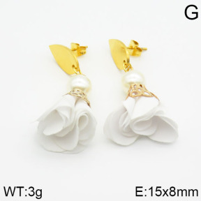 Stainless Steel Earrings  2E3000272vbll-628