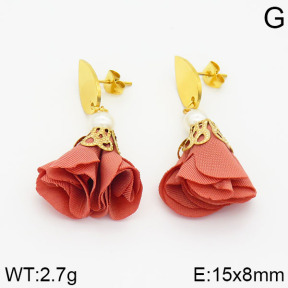 Stainless Steel Earrings  2E3000274vbll-628