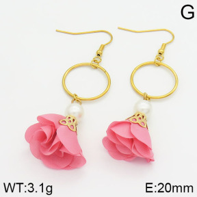 Stainless Steel Earrings  2E3000276vbnb-628