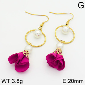 Stainless Steel Earrings  2E3000277bbov-628