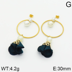 Stainless Steel Earrings  2E3000280bbov-628