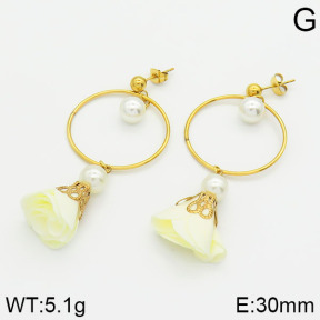 Stainless Steel Earrings  2E3000281bbov-628