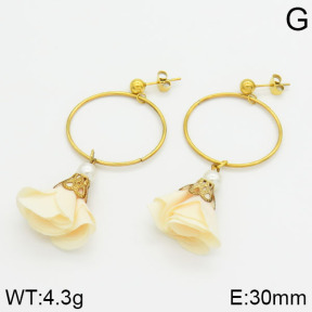 Stainless Steel Earrings  2E3000282vbnl-628