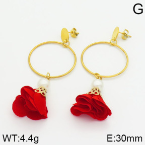 Stainless Steel Earrings  2E3000283vbnl-628