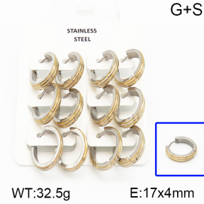 Stainless Steel Earrings  5E2000883vila-658