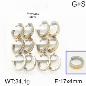 Stainless Steel Earrings  5E2000885vila-658