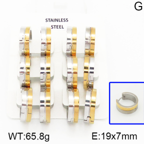 Stainless Steel Earrings  5E2000890vila-658