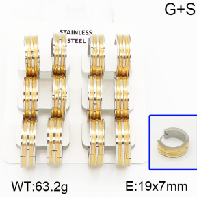 Stainless Steel Earrings  5E2000892vila-658