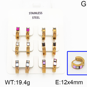 Stainless Steel Earrings  5E4000693aivb-658