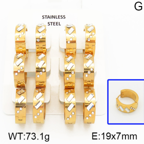 Stainless Steel Earrings  5E4000694ajvb-658