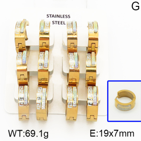 Stainless Steel Earrings  5E4000697ajvb-658