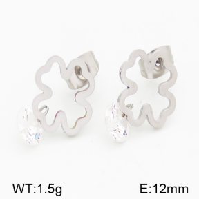 Stainless Steel Earrings  5E4000702avja-434