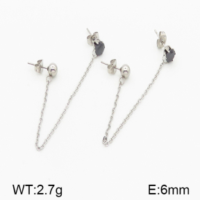 Stainless Steel Earrings  5E4000704vhib-226