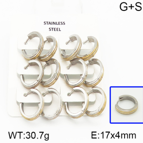 Stainless Steel Earrings  5E5000013vila-658