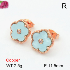 Resin  Fashion Copper Earrings  F7E400256vbnb-G030