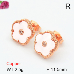 Resin  Fashion Copper Earrings  F7E400257vbnb-G030