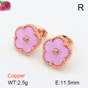 Resin  Fashion Copper Earrings  F7E400261vbnb-G030
