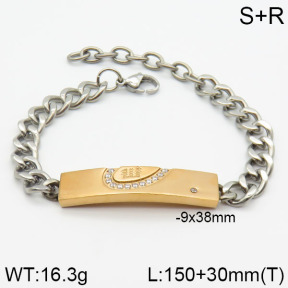 Stainless Steel Bracelet  2B4000503bhia-239