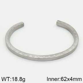Stainless Steel Bangle  2BA200163vbnb-239