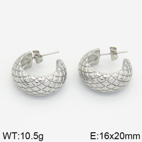 Stainless Steel Earrings  2E2000260bhia-723