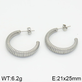Stainless Steel Earrings  2E2000263bhia-723