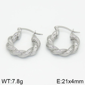 Stainless Steel Earrings  2E2000269bhia-723
