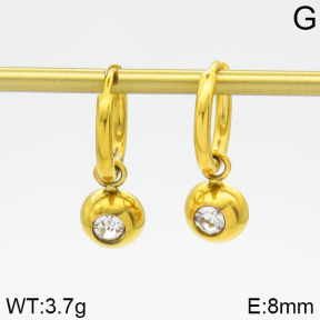 Stainless Steel Earrings  2E4000545bhva-723