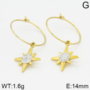 Stainless Steel Earrings  2E4000546vhha-723