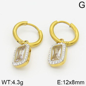 Stainless Steel Earrings  2E4000548ahjb-723