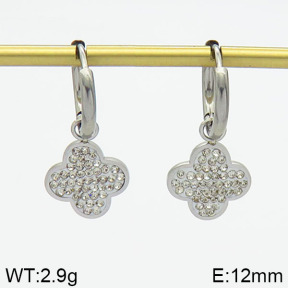 Stainless Steel Earrings  2E4000550vbpb-723