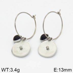 Stainless Steel Earrings  2E4000552vhha-723