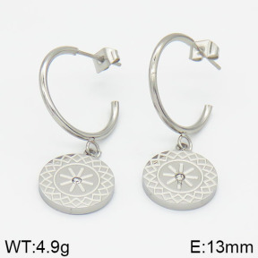Stainless Steel Earrings  2E4000555bhva-723