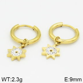 Stainless Steel Earrings  2E4000560vbnb-723