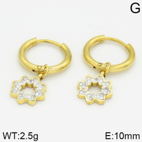 Stainless Steel Earrings  2E4000562vbnb-723